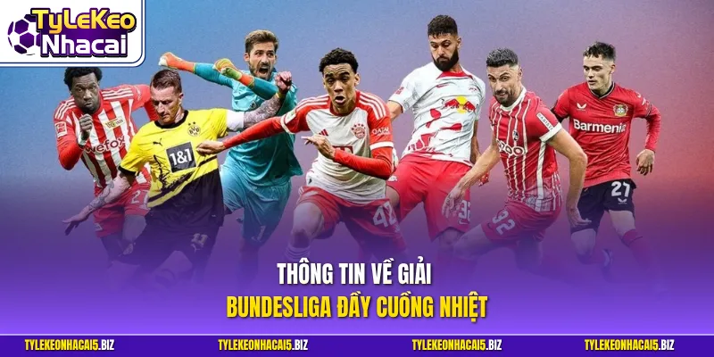 Thông tin về giải Bundesliga đầy cuồng nhiệt